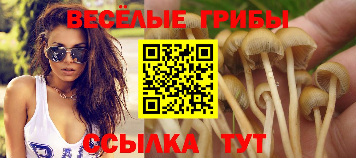 Псилоцибиновые грибы Magic Shrooms Заводоуковск
